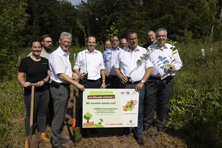 Baum 5.000 Bäume