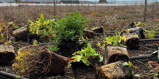 B+S ist Teil der KLIMAWIN Initiative